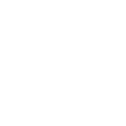 Executive Success logó